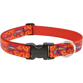 LupinePet Originals 1" Go Go Gecko 12-20" Adjustable Collar for Medium and Larger Dogs