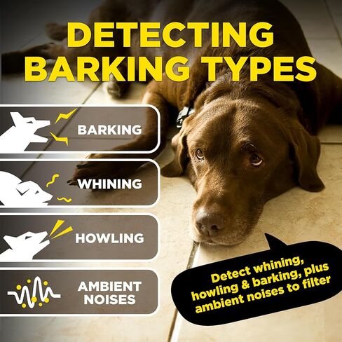 Dogtra Smart NOBARK E-Collar [New Edition] Waterproof, Medium Output with 10 Levels, Barkmeter Report via Smartphone, Detects Barking Types, 30 Yard Range, Compact Size for 10 lbs Dogs in Saudi Arabia