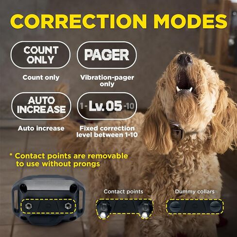 Dogtra Smart NOBARK E-Collar [New Edition] Waterproof, Medium Output with 10 Levels, Barkmeter Report via Smartphone, Detects Barking Types, 30 Yard Range, Compact Size for 10 lbs Dogs in Saudi Arabia
