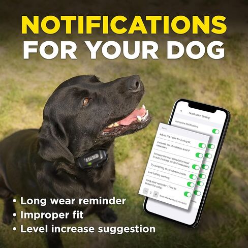 Dogtra Smart NOBARK E-Collar [New Edition] Waterproof, Medium Output with 10 Levels, Barkmeter Report via Smartphone, Detects Barking Types, 30 Yard Range, Compact Size for 10 lbs Dogs in Saudi Arabia