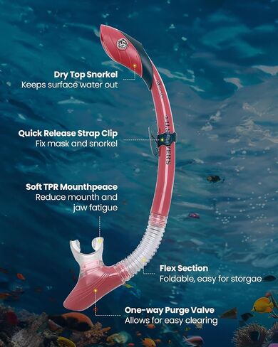 OutdoorMaster x U.S. Divers Cozumel TX Combo معدات الغطس للبالغين، مجموعة غطس جاف رؤية بانورامية مضادة للضباب ومضادة للتسرب، قناع سباحة للغوص والسباحة in Saudi Arabia