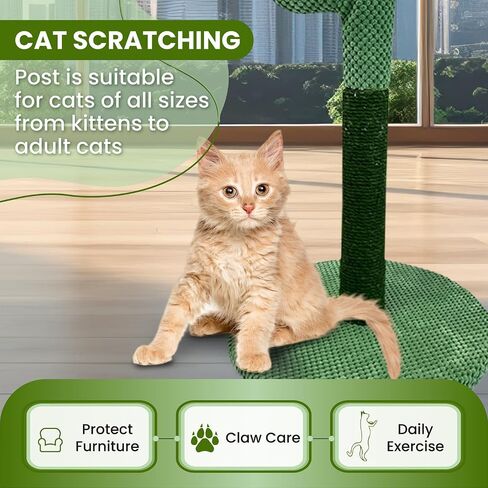 MAMONI Palm Tree Cat Scratching Post for Indoor Cats, 33" Tall Cat Scratching Post with Sisal Rope, Cute Premium Kitten Scratching Post with Hanging Ball in Saudi Arabia
