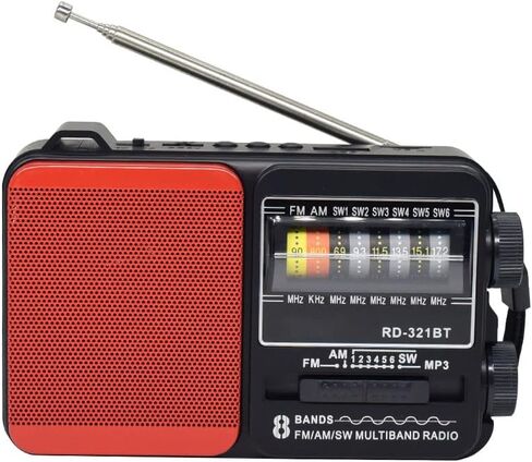 QuantumG - Pocket Size Radio, with builtin Bluetooth Speaker, USB Music Player, Phone Charger and High Power LED Flash Light - Mini Radio - Portable Radio - FM Radio - Best for Travelling (Black) in Saudi Arabia