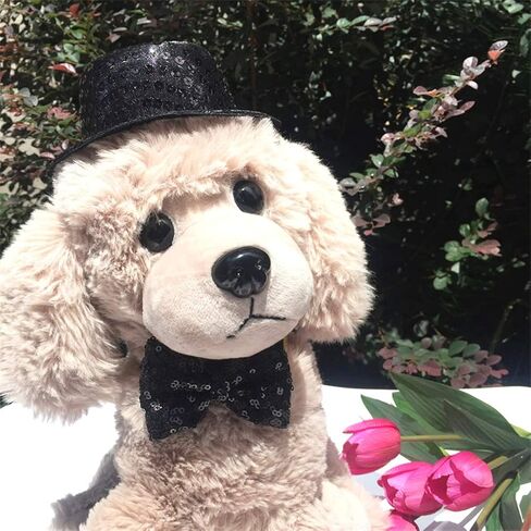 2-Pack Dog Costume Company Top Hat, Bow Ties for Dogs Funny Pets Accessories Dogs Top Hat and Bow Tie for Small Dog Party Supplies in Saudi Arabia