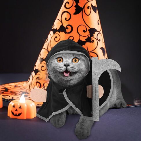 Ipetboom Halloween Cat Cloak، قطعة واحدة من ملابس الهالوين للحيوانات الأليفة، زي عباءة القطة in Saudi Arabia