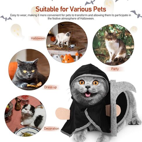 Ipetboom Halloween Cat Cloak، قطعة واحدة من ملابس الهالوين للحيوانات الأليفة، زي عباءة القطة in Saudi Arabia