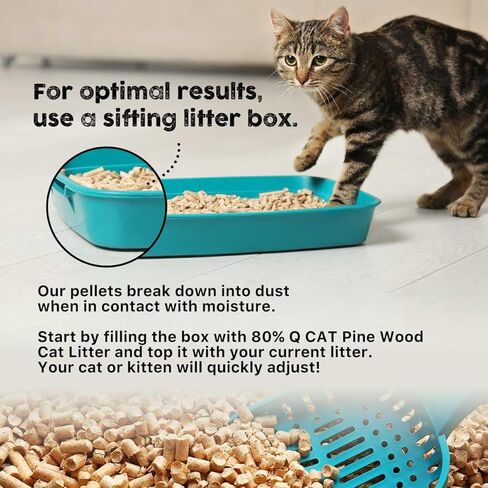 Non-clumping Cat Litter 11LBS (5Kg)- 100% Natural Pine Wood, Eco-friendly, Highly Absorbent, Superior Odor Control and Low Tracking - for Cats, Rabbits, Hamsters and Reptiles in Saudi Arabia
