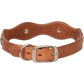 Weaver Pet Texas Star Collar
