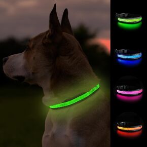 Balk Pets Led Dog Collar High Visibility Glow in The Dark Anti Car Accident Night Dog Walking Waterproof USB Rechargable 3 Lighting Modes for Small Medium and Large Dogs (Medium, Green)