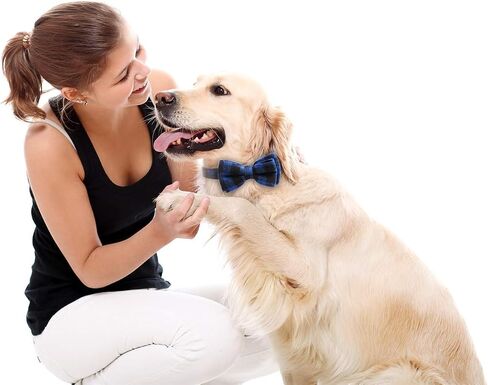 LYSA Dog and Cat Collars,Detachable Adjustable Bow Tie Collar, British Style Plaid Bowtie-Quality PU Leather and Durable Polyester-Plastic Buckle Light (M, BluePlaid) in Saudi Arabia