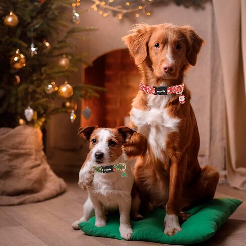 PTDECOR Christmas Dog Collar Adjustable Red Green Dog Collars Santa Box Dog Collars Christmas Collars for Large Dogs Pets (Christmas, Large) in Saudi Arabia