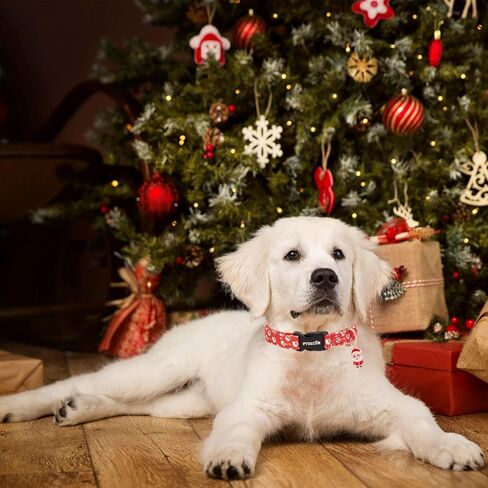 PTDECOR Christmas Dog Collar Adjustable Red Green Dog Collars Santa Box Dog Collars Christmas Collars for Large Dogs Pets (Christmas, Large) in Saudi Arabia