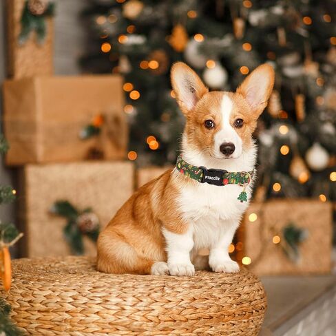 PTDECOR Christmas Dog Collar Adjustable Red Green Dog Collars Santa Box Dog Collars Christmas Collars for Large Dogs Pets (Christmas, Large) in Saudi Arabia