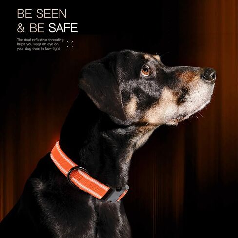 Timos Reflective Dog Collar for Small Medium Large Dogs with Soft Neoprene Padded Breathable Nylon Puppy Collars Adjustable in Saudi Arabia