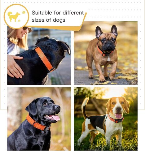 Timos Reflective Dog Collar for Small Medium Large Dogs with Soft Neoprene Padded Breathable Nylon Puppy Collars Adjustable in Saudi Arabia