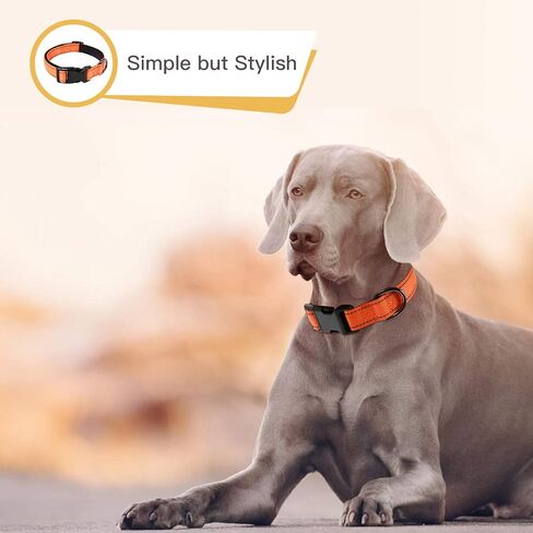 Timos Reflective Dog Collar for Small Medium Large Dogs with Soft Neoprene Padded Breathable Nylon Puppy Collars Adjustable in Saudi Arabia