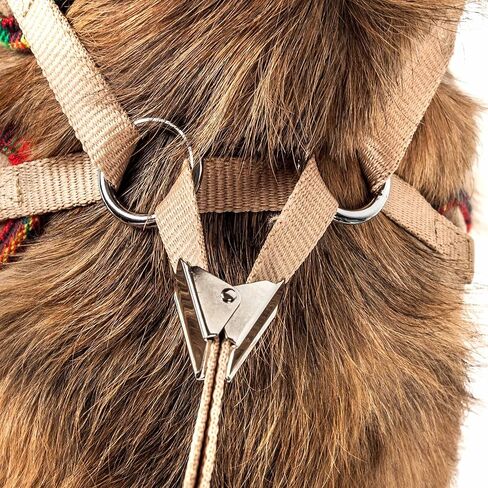 Pet Life ® Luxe Collection Dapperbone 2-in-1 Adjustable Fashion Dog Harness and Leash with Dog Bowtie by Collar - Pet Harness with Reversible Breathable Mesh and Alloy Dog Leash attachments in Saudi Arabia