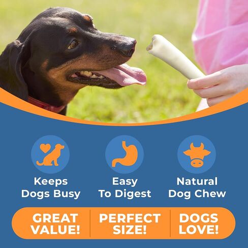 Cow Tails for Dogs - Natural Ox Tail Dog Chews - Best Dog Treats Cow Tails - Bulk Cow Tail Dog Treat - Large Ox Tails for Dogs - Cow Tail Dog Chews - Healthy and Tasty in Saudi Arabia