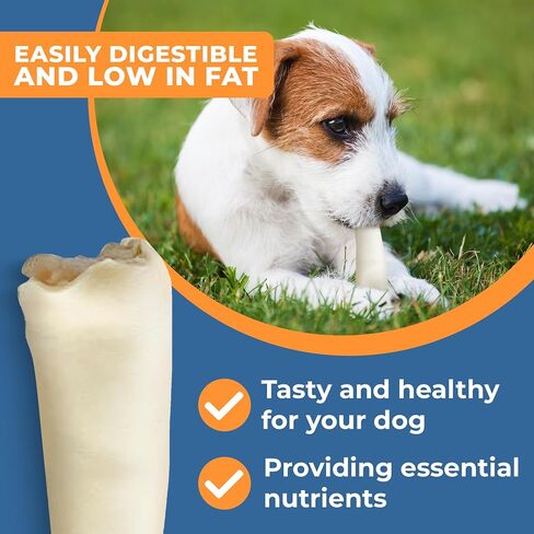 Cow Tails for Dogs - Natural Ox Tail Dog Chews - Best Dog Treats Cow Tails - Bulk Cow Tail Dog Treat - Large Ox Tails for Dogs - Cow Tail Dog Chews - Healthy and Tasty in Saudi Arabia