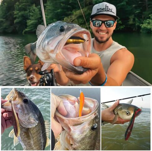 Swimbait Jig Heads with 10pcs softlures, Weedless Swing Jig Heads for Bass Fishing, Weighted Texas Rig Hooks, 1/6 1/4 3/8 OZ in Saudi Arabia