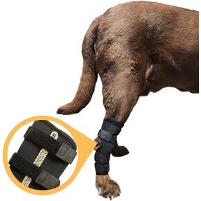 Labra Supportive Dog Rear Leg Hock Joint Wrap Brace with Metal Springs Protects Canine Wounds as They Heal Compression Brace Heals and Prevents Injuries and Sprains Helps Arthritis (Small)