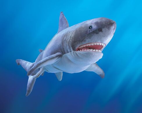 Folkmanis Great White Shark Hand Puppet, Grey in Saudi Arabia