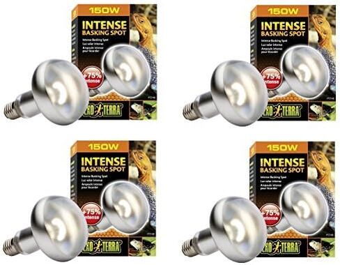 Exo Terra Sun-Glo Basking Infrared Spot Lamp, 150-Watt/120-Volt (4 Pack) in Saudi Arabia
