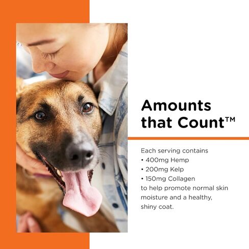 Nutri-Vet Hemp Hip & Joint مضغ ناعم للكلاب - مع الجلوكوزامين وMSM - نكهة زبدة الفول السوداني والعسل - 12.7 أونصة in Kuwait