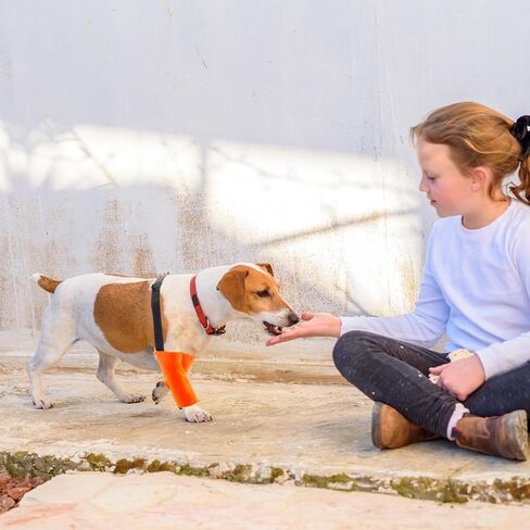 2 Pcs Dog Elbow Protector Dog Elbow Sleeves with Cotton Pad Soft Dog Elbow Brace Reinforced Elbow Pads with Elastic Strap for Dogs Prevent Injury Callus Licking Wound Relief Pressure Sore in Saudi Arabia