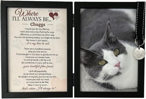 Where I'll Always Be Cat Memorial Photo Frame - Thoughtful Pet Memorial Gift (Frame with Pet Tag) in Saudi Arabia