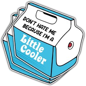 3 Pcs Dont Hate Me Because Im a Little Cooler Sticker, Dont Hate Me Because Im a Little Cooler, Im a Little Cooler, Funny Little Cooler Pun Stickers for Laptop Bottle Phone Car Helmet 3"x3" (L1)
