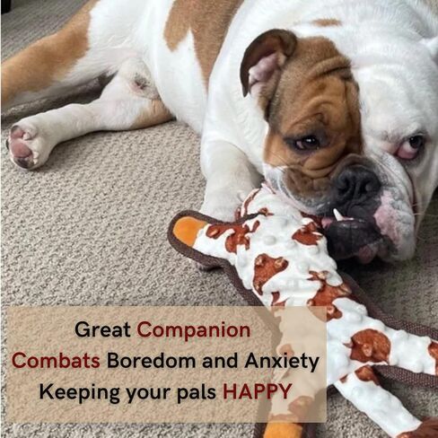 لعبة الكلب الصلب بومبيز فوكس سكويكر للكلاب، ألعاب حيوانات محشوة للكلاب، رأس كرة التنس، حبل معقود في الجسم، ألعاب مضغ قوية ومتينة للكلاب الصغيرة والمتوسطة والكبيرة in Kuwait