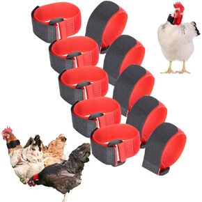 5Bag No Crow Rooster Collar, Keep Roosters Quiet Noise Neckband Nylon No Crow Rooster Collar Noise Neck Belt Pet Chicken Supply for Fram House