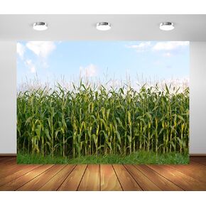 BELECO 7x5ft Fabric Cornfield Maze Backdrop Green Corn Stalks Corn Field Countryside Farm Harvest Background Corn Field Themed Party Decorations Adults Kids Portrait Photoshoot Studio Props