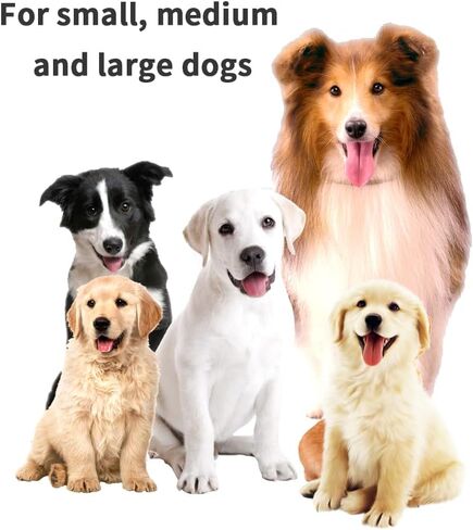 voice intercom Dog Training Colla Shock Collar for Dogs Rechargeable Dog with Remote for Small, Medium & Large Dogs voice intercom Dog Training Collar （1for1） in Saudi Arabia