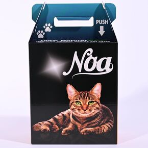NOA Mineral Clumping Cat Litter, Odor Neutralizer, Hypoallergenic, Lightweight Unscented Eco-Friendly Product Made in USA., Natural Colour
