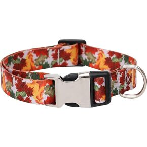 Thanksgiving Fall Dog Collar Autumn Holiday Nylon Adjustable Pet Collars for Dogs (Maple Leaf,Medium)