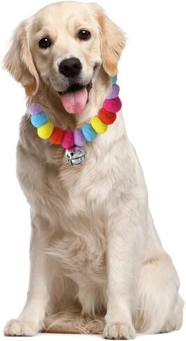 leconpet Pom Pom Dog Collar Elastic Cat Collar Decorative Plush Ball Puppy Necklace Eye-catching Pom Pom Pet Collar Necklace with Bell for Taking Photos, Walking, Outdoor Sports (S, Orange Red) in Saudi Arabia