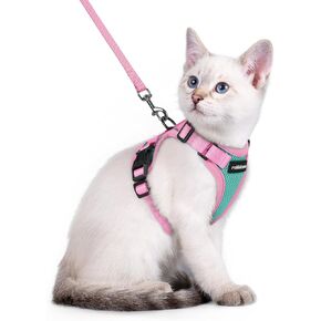 rabbitgoo Cat Harness and Leash Set, Escape Proof Soft Adjustable Vest Harnesses for Outdoor Walking, Easy Control Breathable Kitten Jacket with Reflective Strips, Green & Pink, XS