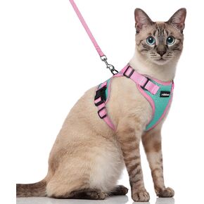 rabbitgoo Cat Harness and Leash Set, Escape Proof Soft Adjustable Vest Harnesses for Outdoor Walking, Easy Control Breathable Kitten Jacket with Reflective Strips, Green & Pink, XS