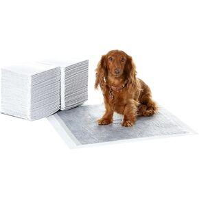 Amazon Basics Dog and Puppy Pee Pads with 5-Layer Leak-Proof Design and Quick-Dry Surface for Potty Training, Odor-Control Carbon, XL, 28 x 34 Inch - Pack of 50, Gray