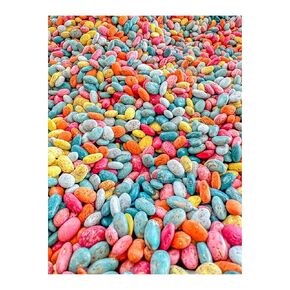Summer Themed Sensory Beans - Colorful Sensory Bin Filler - 2 Cups