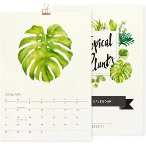 Tropical Plant Art - 2025 Botanical Watercolor Wall Calendar, Foliage Painting Planner, Christmas Gift for Plant Lover, A4 21 x 29.7 cm (2)