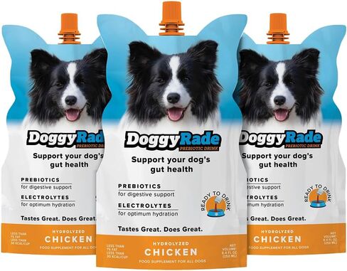 DoggyRade – Dog Sports Drink (Prebiotic, Isotonic Drink for Dogs) | Electrolytes, Nutrients & Amino Acids | Quick Hydration Drink for Dogs + Low Calorie | More Than Just Water! | Chicken | 500ml x 6 in Saudi Arabia