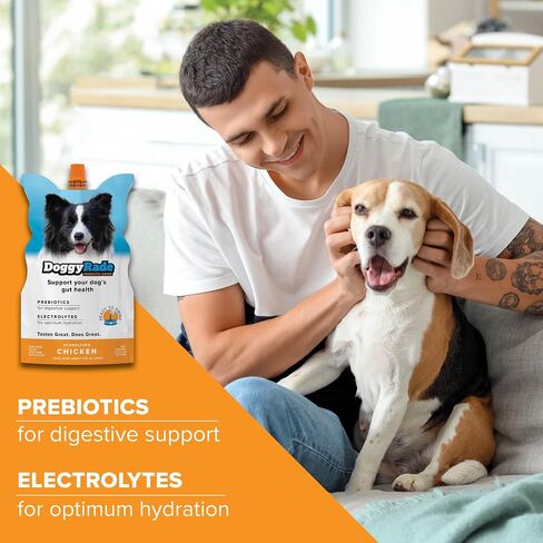 DoggyRade – Dog Sports Drink (Prebiotic, Isotonic Drink for Dogs) | Electrolytes, Nutrients & Amino Acids | Quick Hydration Drink for Dogs + Low Calorie | More Than Just Water! | Chicken | 500ml x 6 in Saudi Arabia