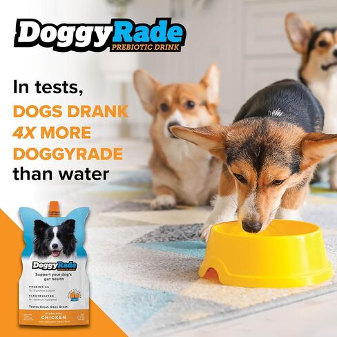 DoggyRade – Dog Sports Drink (Prebiotic, Isotonic Drink for Dogs) | Electrolytes, Nutrients & Amino Acids | Quick Hydration Drink for Dogs + Low Calorie | More Than Just Water! | Chicken | 500ml x 6 in Saudi Arabia