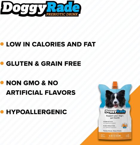 DoggyRade – Dog Sports Drink (Prebiotic, Isotonic Drink for Dogs) | Electrolytes, Nutrients & Amino Acids | Quick Hydration Drink for Dogs + Low Calorie | More Than Just Water! | Chicken | 500ml x 6 in Saudi Arabia