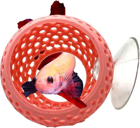 CTWPets Betta Bulb Hide | Betta Rest Fish Tank Ornament | Aquarium Cave with Suction Cup for Small Fish Tank, Betta Habitat, Shrimp Hideout, Aquatic Decor (Cotton Candy Blue) in Kuwait