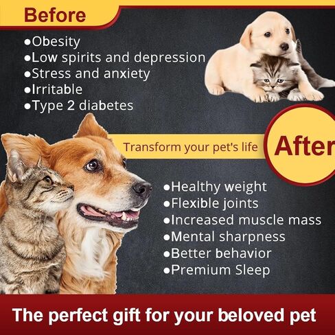 Pet Runner Wheels, Solid Wood Cat Treadmill, Cat Fitness and Weight Loss, with Guide Ball, Easy to Install, Suitable for Indoor pet Fitness and Health, Large Cat Wheels in Saudi Arabia