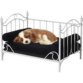 Pet Bed,Cat Sofa Bed, Dog Bed with Metal Frame and Detached White Velvet Cushion with 2 Pillow for Small Dog (White)